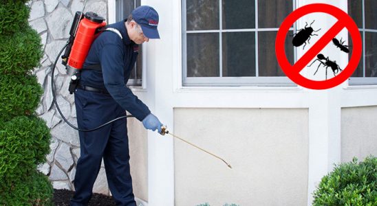 Evka 6 Uçan Haşere İlaçlama böcek ilaçlama ve haşere kontrolü — ilaclama-tr.com